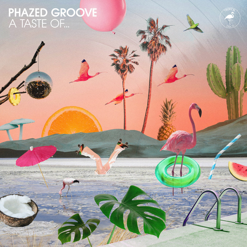 Phazed Groove - A Taste Of [TDR275]